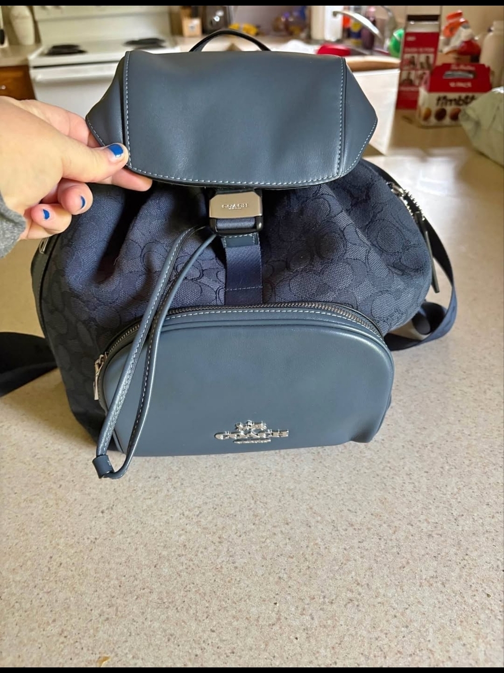 Coach Pace Large Backpack In Signature Jacquard Silver/Dark Denim CT812